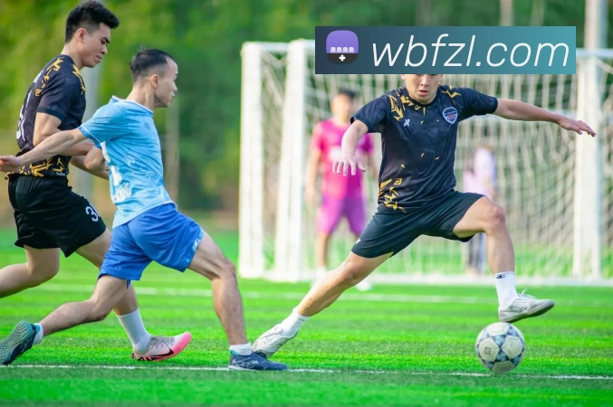 多媒体互动体验